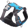 imgi_30_harnais-chien-red-dingo-sport-rembourre-turquoise