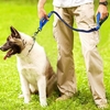 Laisse-de-chien-r-fl-chissante-en-Nylon-lastique-corde-de-plomb-tactique-militaire-laisses-d
