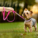 Adjustable-Suede-Leather-Puppy-Dog-Collar-Leash-Set-Soft-Rhinestone-Small-Medium-Dogs-Cats-Collars-Walking