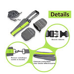 2_Perfect-Walking-Training-Dog-Leash-Set-Hands-Free-Pet-Dog-Cat-Running-Jogging-Padded-Waist-Belt