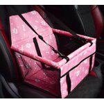 ente-en-gros-de-voiture-de-chien-de-cou_main-1