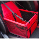 ente-en-gros-de-voiture-de-chien-de-cou_main-3