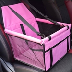 ente-en-gros-de-voiture-de-chien-de-cou_main-4