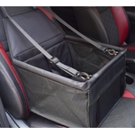 ente-en-gros-de-voiture-de-chien-de-cou_main-5