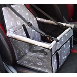 null_ente-en-gros-de-voiture-de-chien-de-cou_variants-3
