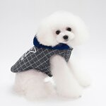 aute-qualite-simply-star-chien-automne_main-5