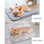 hoopet-tapis-de-refroidissement-dete-re_main-2