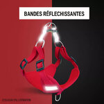 Bandes réflechissantes Harnais suédé