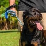 Laisse pour chien nylon_poignee_confort (1)