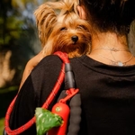 Laisse pour chien nylon_poignee_confort (4)