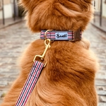 collier-french-banban-bandit3