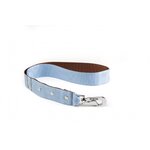laisse-nylon-bleu-marron-1-2-4-x-50-cm