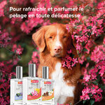 13552_Ecommerce_Parfum-Female_FR_2023-5