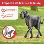16261_Ecommerce_Gentle-Leader-L_FR_2023-5