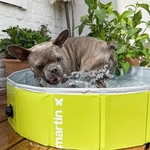 piscine-pour-chien-martin-pool-vert-4