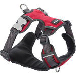 harnais-chien-red-dingo-sport-rembourre-rouge