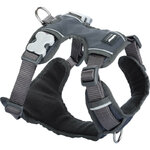 harnais-chien-red-dingo-sport-rembourre-gris