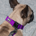 Collier-r-fl-chissant-pour-chiens-En-Nylon-s-curit-r-glable-colliers-pour-chiots-pour