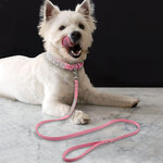 Rhinestone-Dog-Collar-Bling-Crystal-Cat-Dog-Collars-and-Leash-Set-Pet-Walking-Leash-Leads-Adjustable