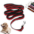 120cm-Dog-Walking-Elastic-Bungee-Leash-Hand-Free-Dogs-Leashes-With-Handle-Puppy-Collar-Outdoor-Pet