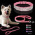 Adjustable-Suede-Leather-Puppy-Dog-Collar-Leash-Set-Soft-Rhinestone-Small-Medium-Dogs-Cats-Collars-Walking