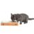 HTB1WKCiu2iSBuNkSnhJq6zDcpXau-removebg-preview