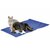 tapis-rafraichissant-pour-chien-et-chat