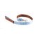 laisse-nylon-bleu-marron-4-x-100-cm