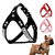 Harnais-en-cuir-su-d-pour-chiots-Strass-petits-chiens-harnais-chat-chien-en-cristal-scintillant