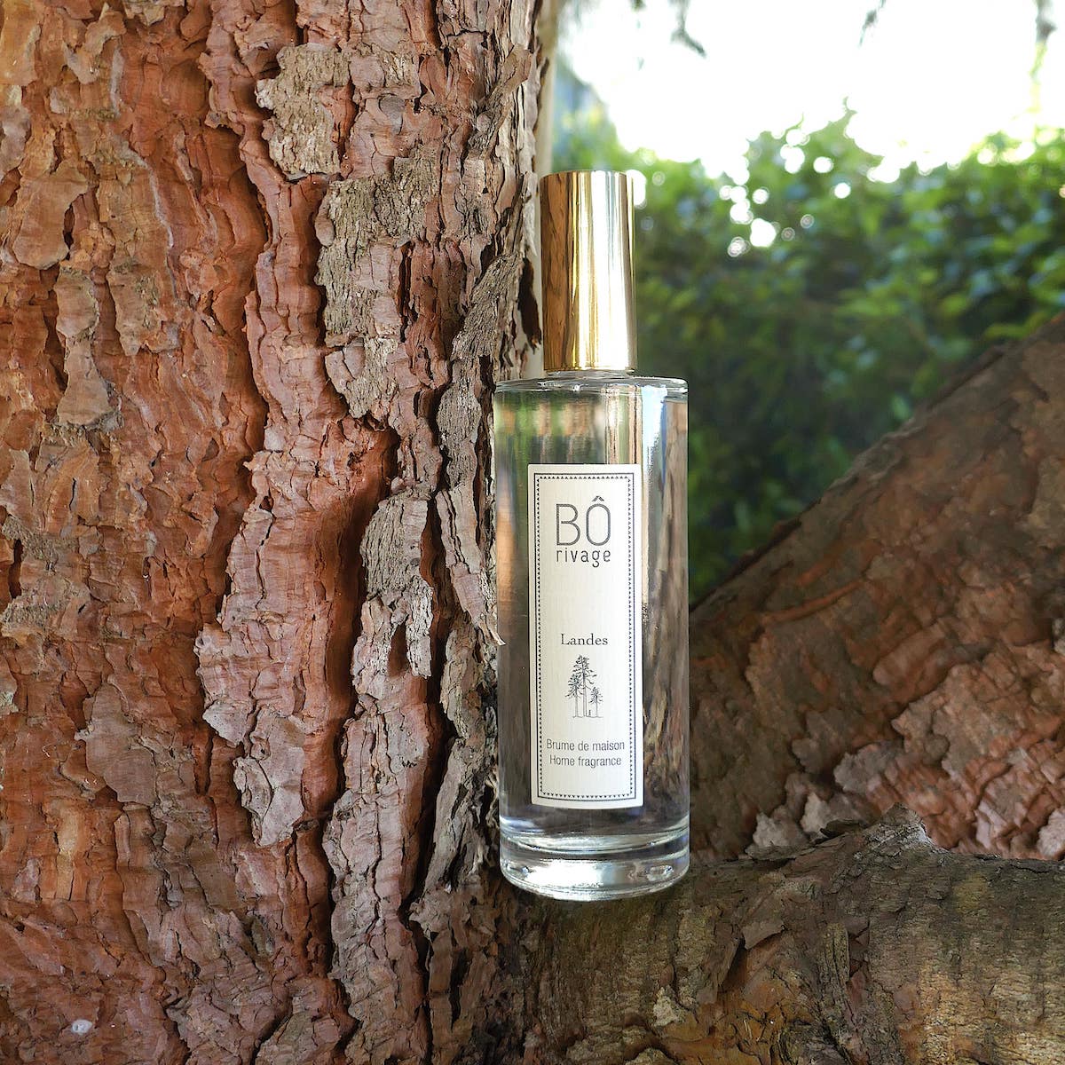 landes_parfum_de_maison_parfumee_borivage