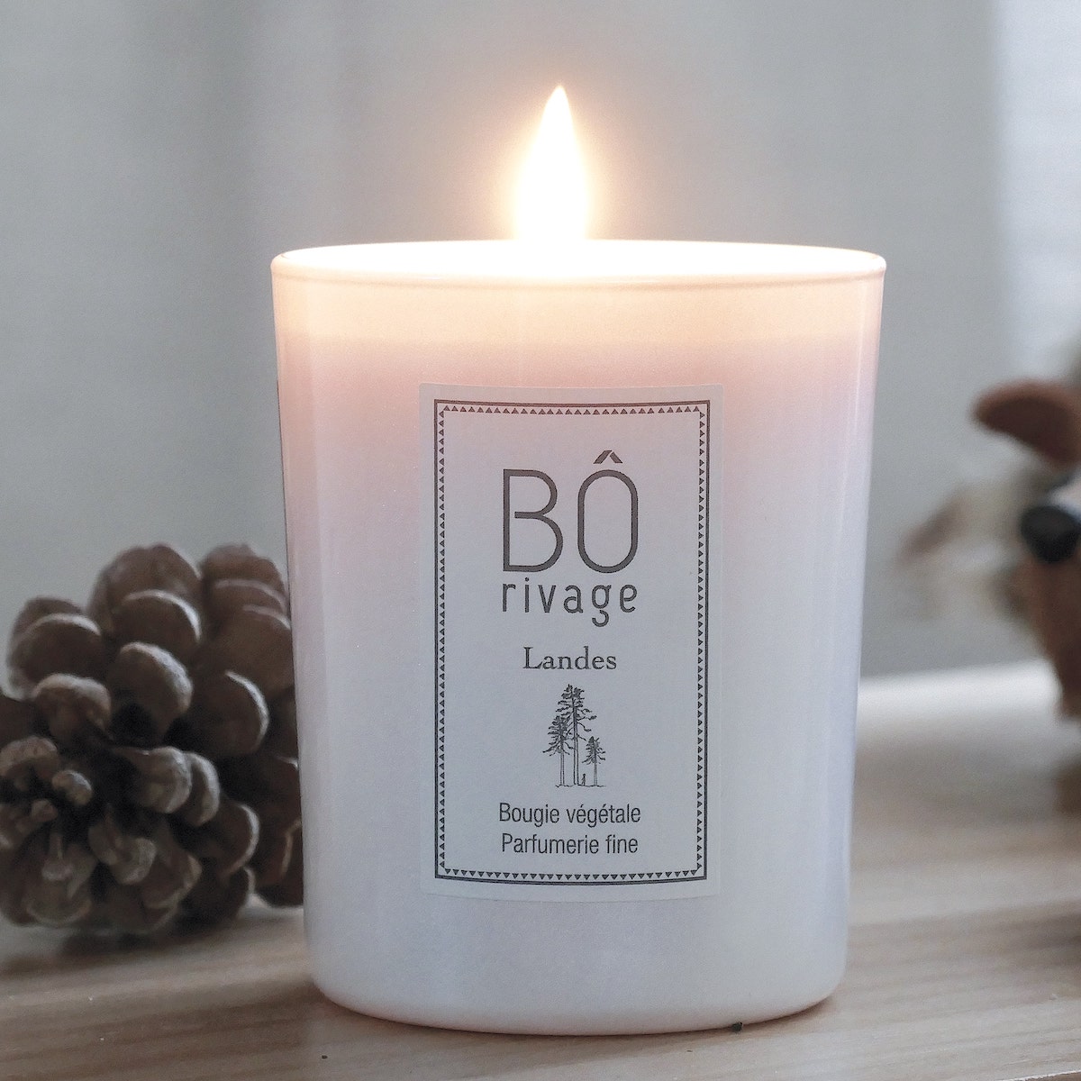 bougie_parfumee_landes_160g_borivage1
