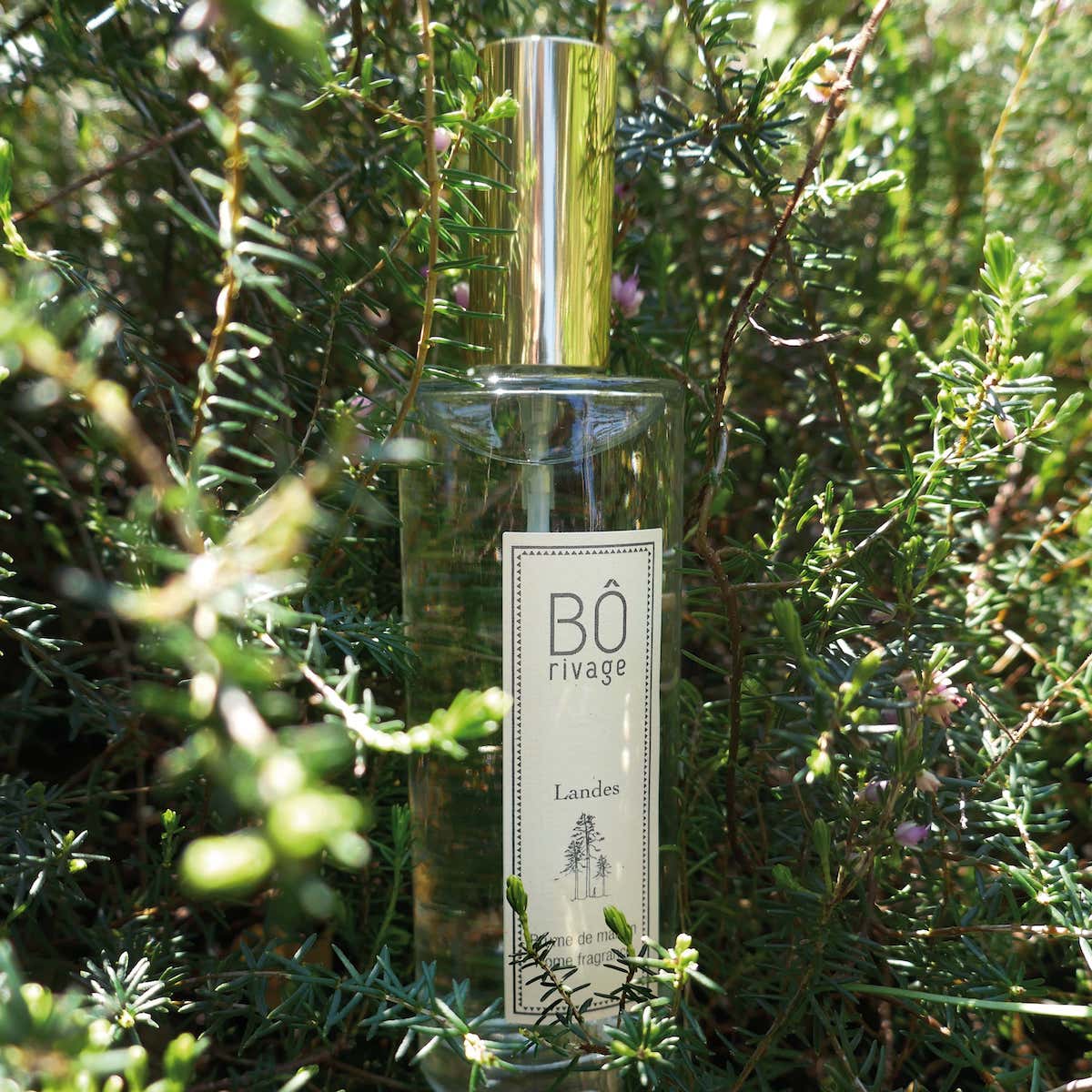 landes_parfum_de_maison_100ml_borivage2