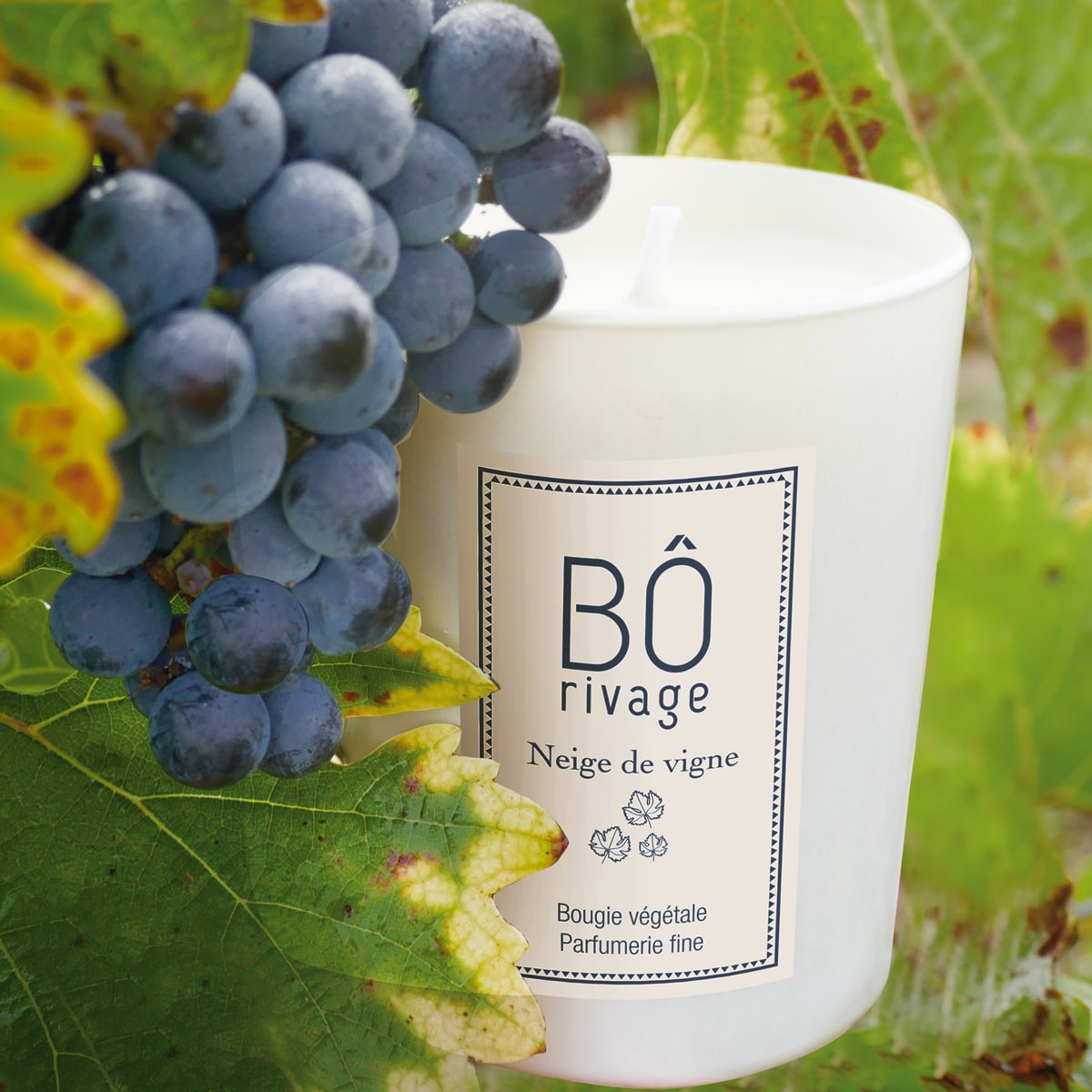 neige_de_vigne_bougie_vegetale_parfumee