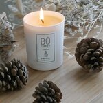 landes_bougie_vegetale_parfumee_160g_borivage