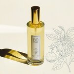 bel_oranger_parfum_de_maison_borivage2