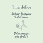 bougie_vegetale_parfumee_tilia_delice_borivage2