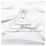 bougie_vegetale_parfumee_un_ange_passe_borivage1
