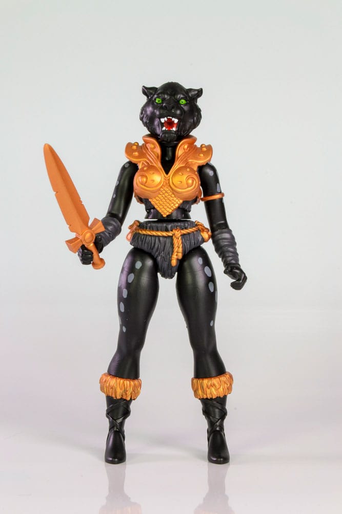 x_form5050