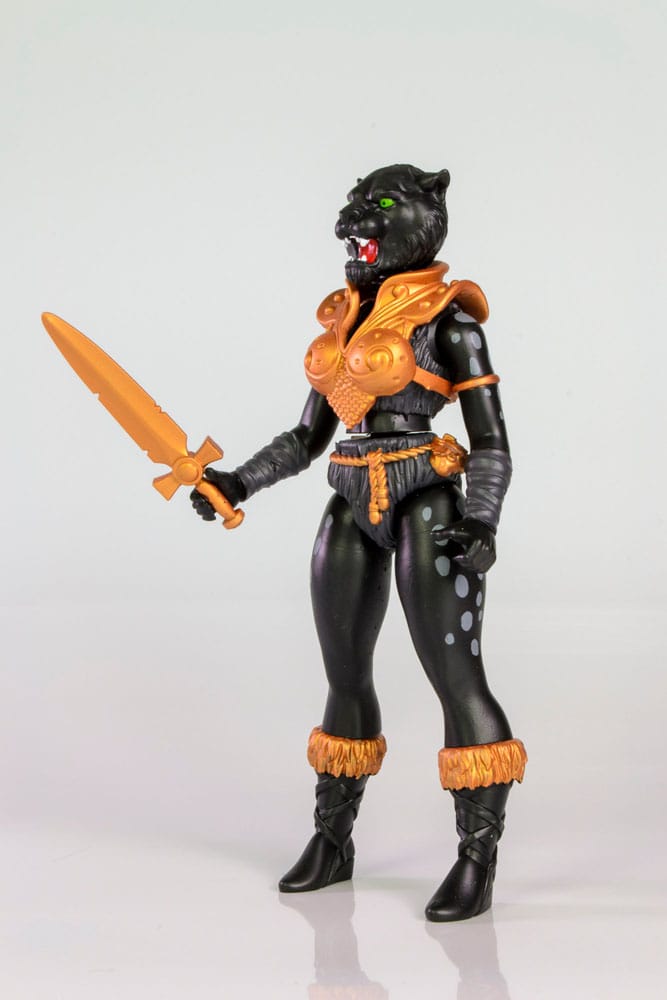 x_form5050_a