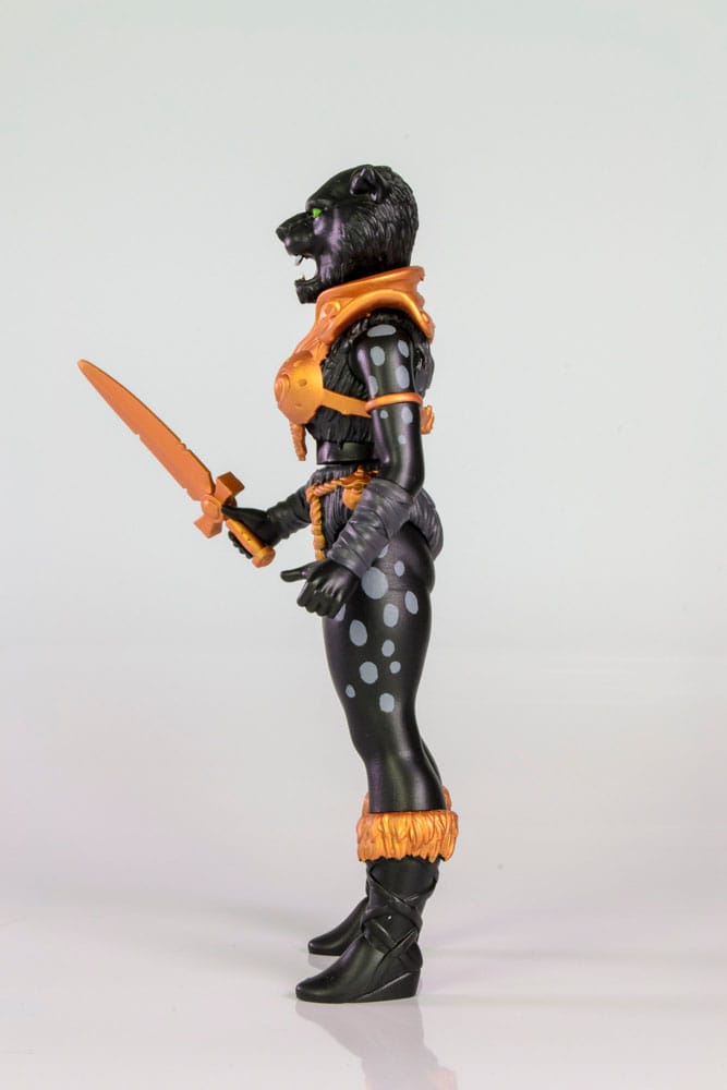x_form5050_b