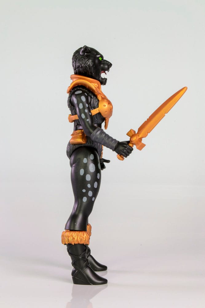 x_form5050_f