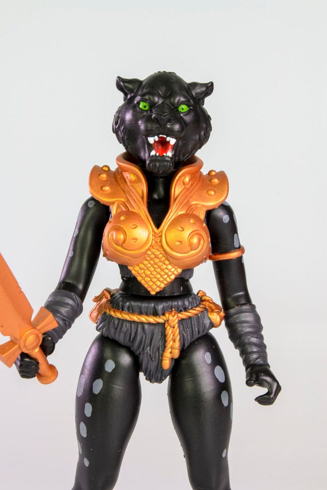x_form5050_h