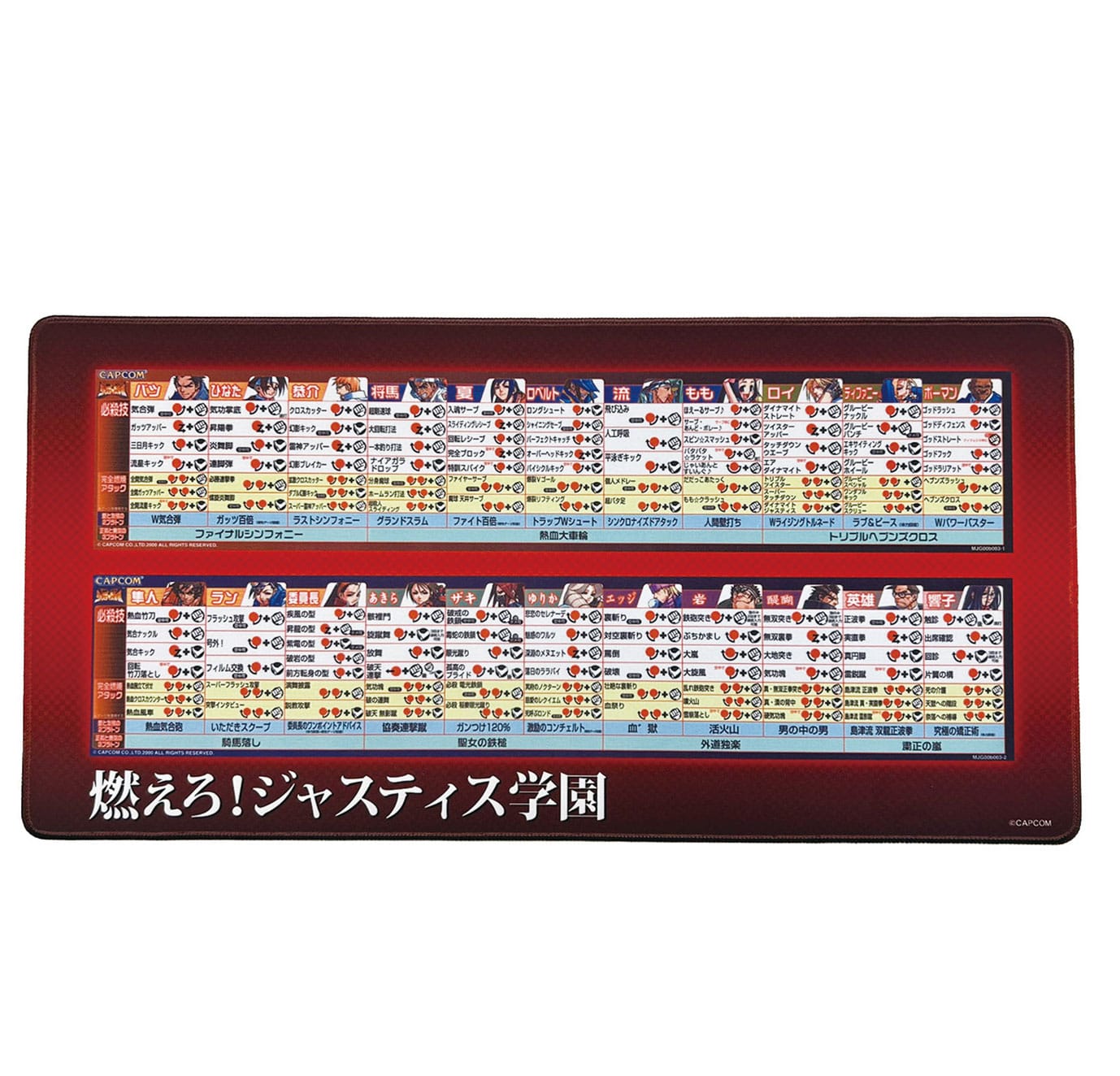 x_cap13251