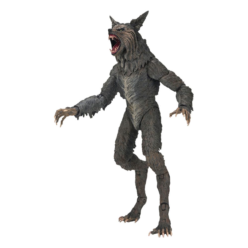 x_neca07100-06