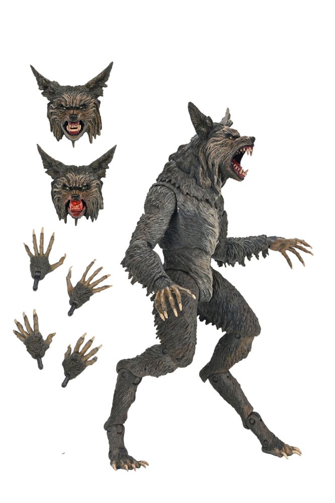 x_neca07100-06_e