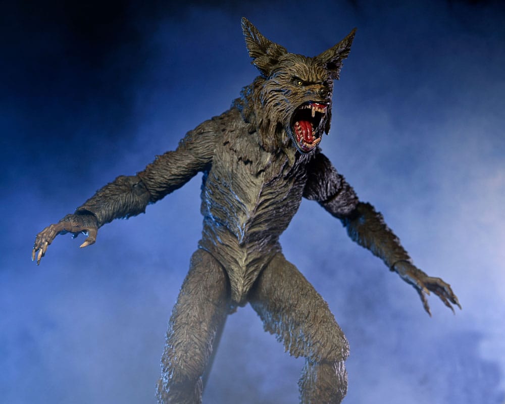 x_neca07100-06_f