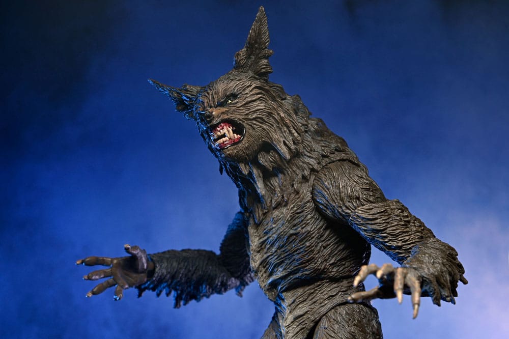 x_neca07100-06_h