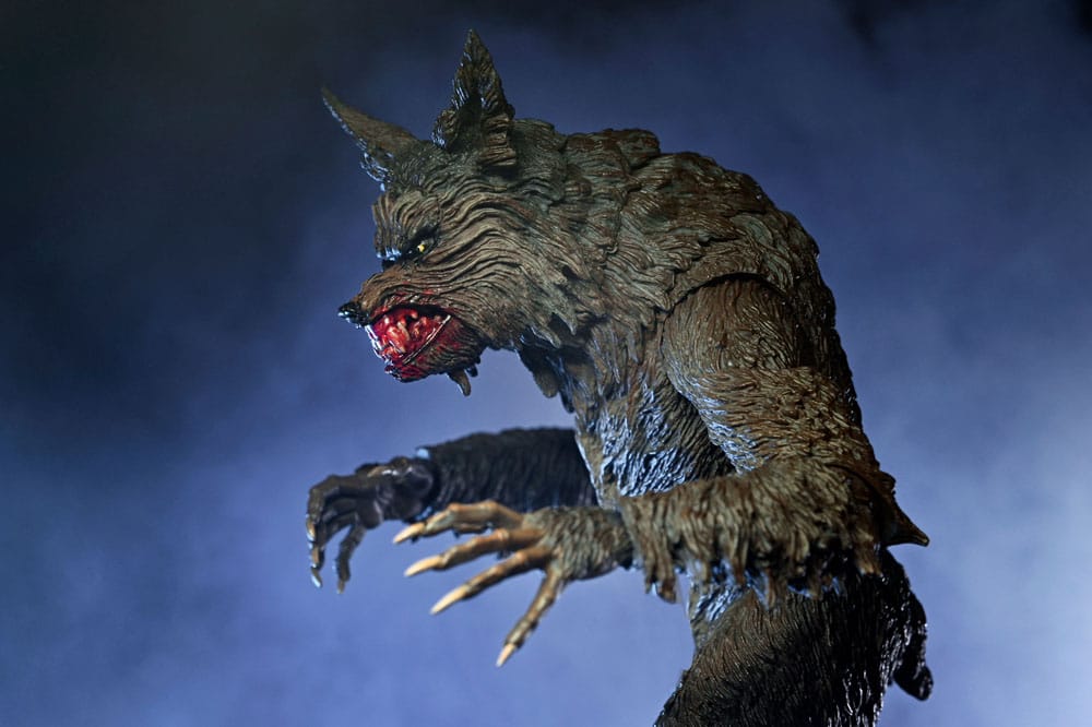 x_neca07100-06_k