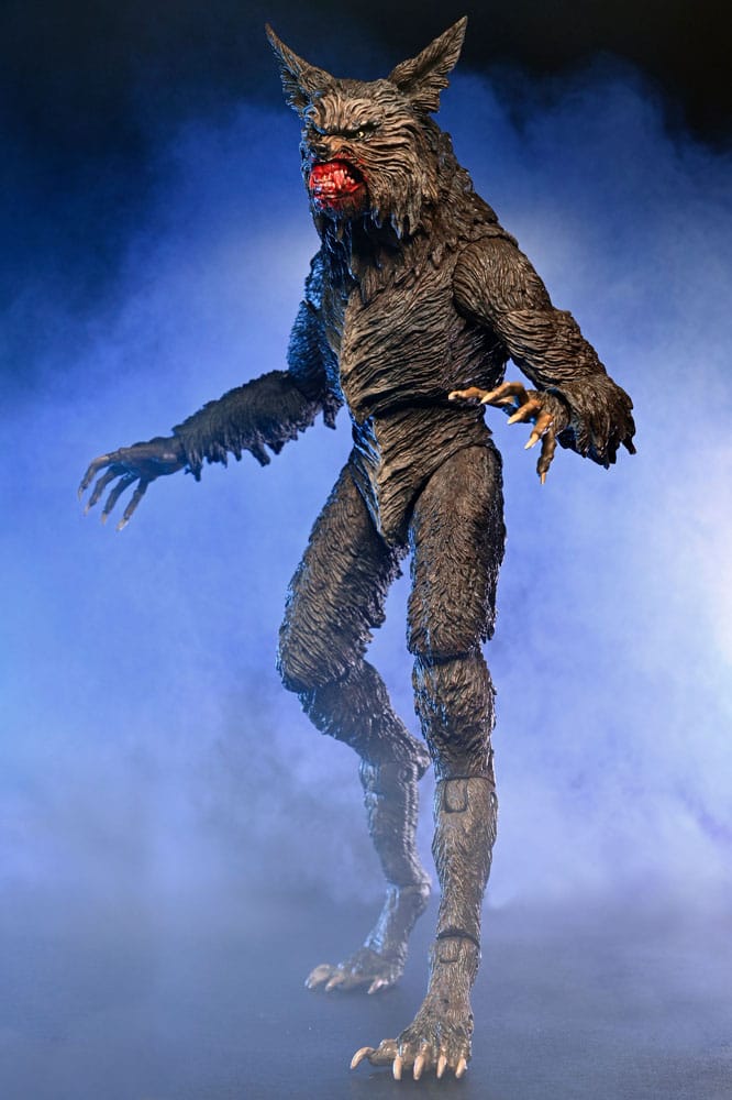 x_neca07100-06_m