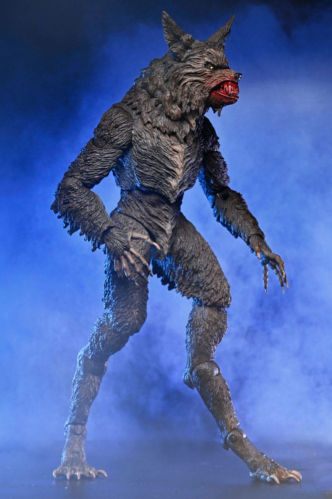 x_neca07100-06_n